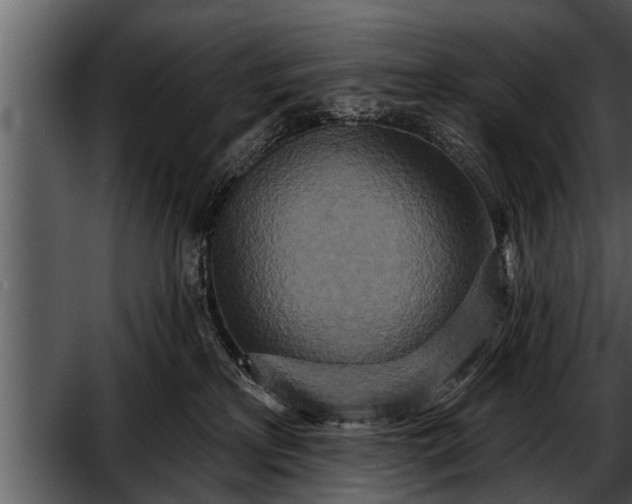 X0000052590233200507152353