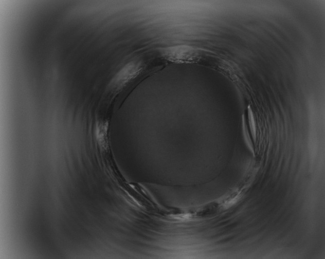 X0000052590239200507152353