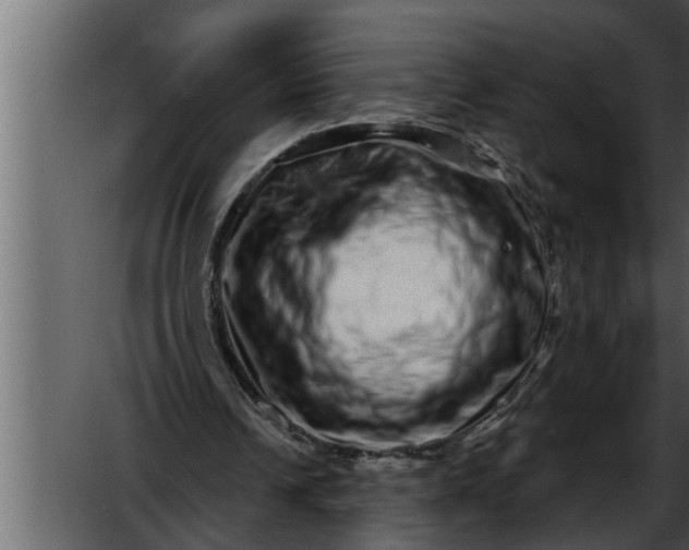 X0000052590242200507152352