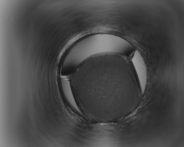 X0000052590244200507152352