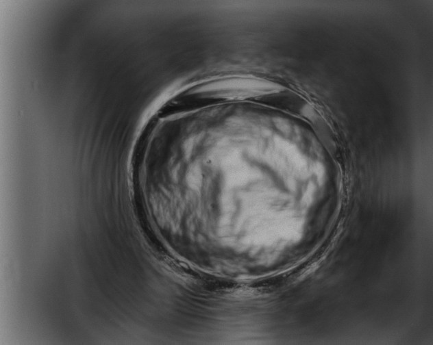 X0000052590246200507152352