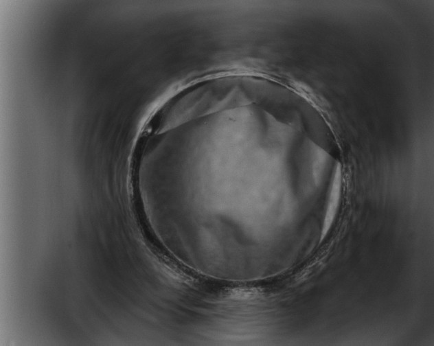 X0000052590248200507152352