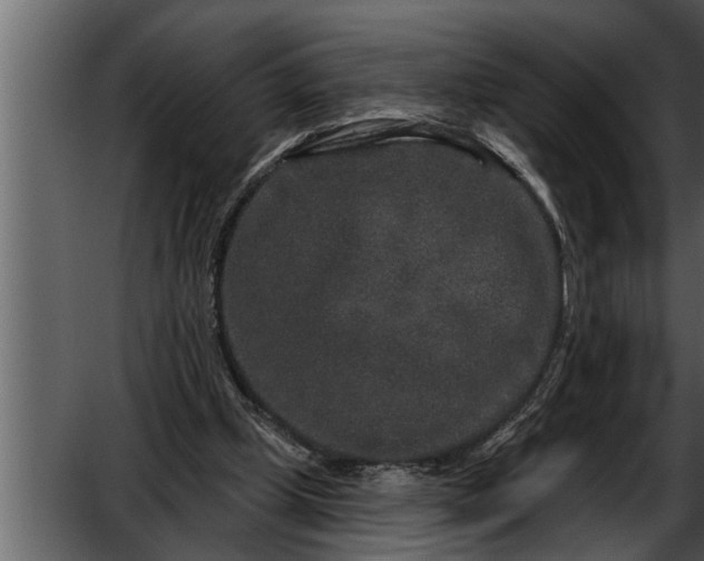 X0000052590249200507152352