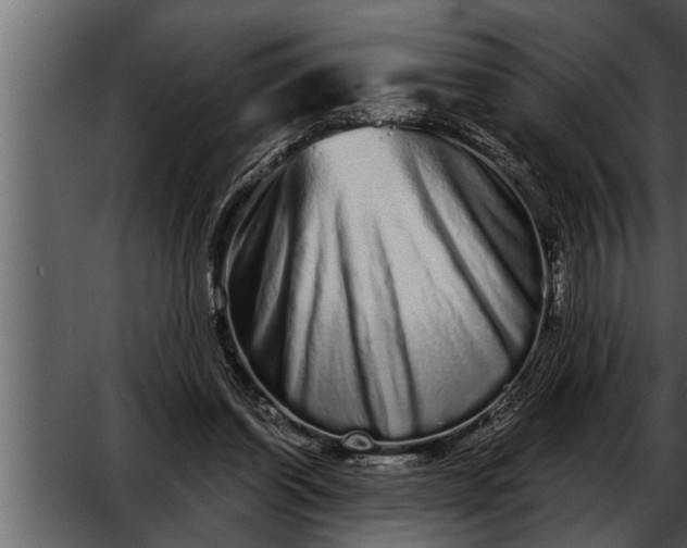 X0000052590254200507152352