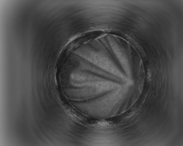 X0000052590256200507152352
