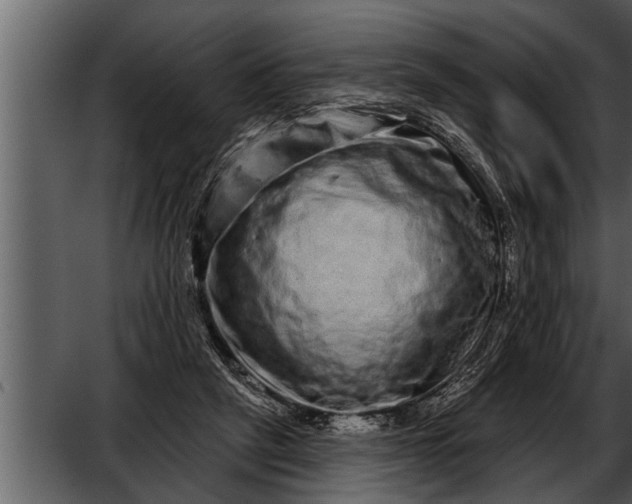 X0000052590257200507152352