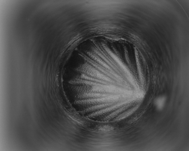 X0000052590258200507152352