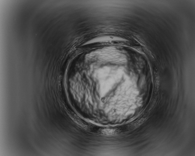 X0000052590265200507152352