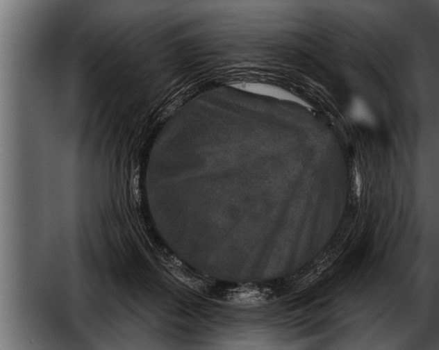 X0000052590267200507152352
