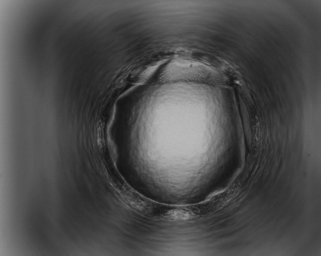 X0000052590272200507152352