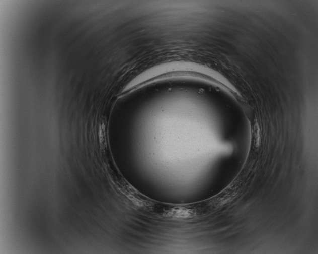 X0000052590276200507152352