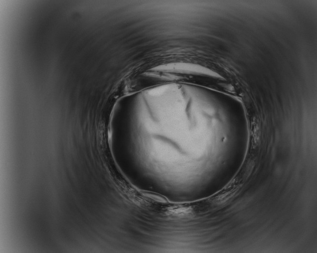 X0000052590283200507152353
