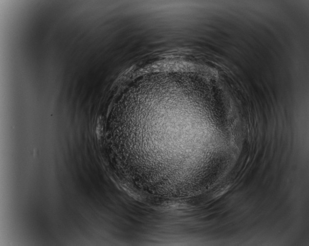 X0000052590284200507152353