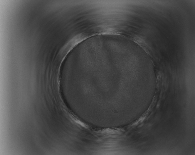 X0000052590290200507152352