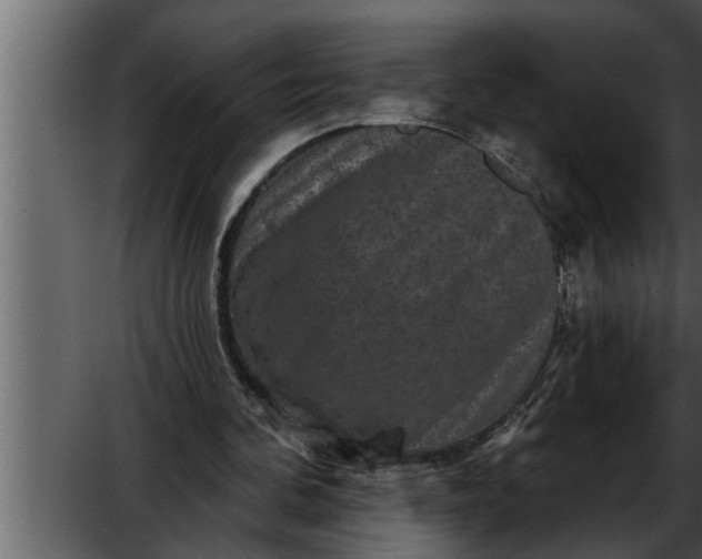 X0000052590292200507152352