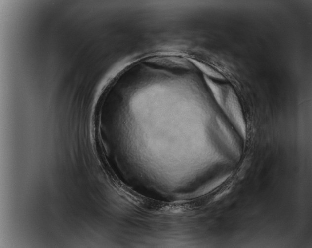 X0000052590294200507152352