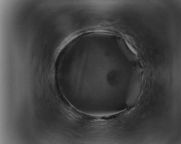 X0000052590295200507152352