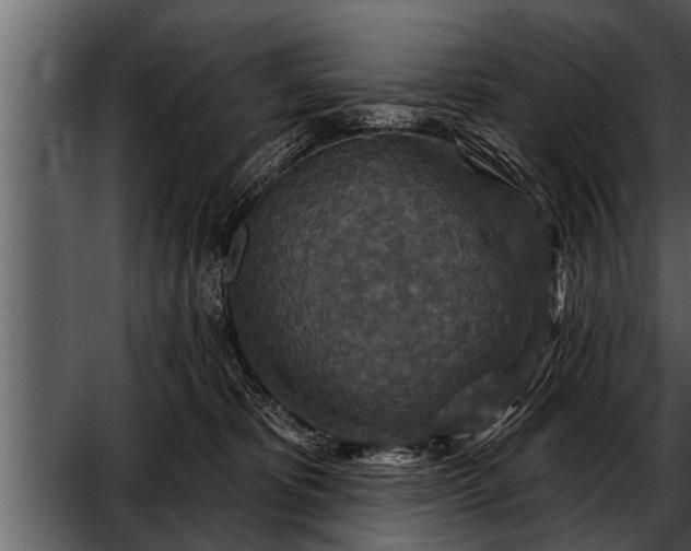 X0000052590325200507152351