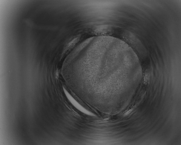 X0000052590335200507152351
