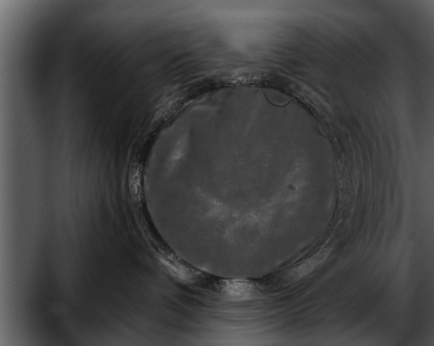 X0000052590336200507152351