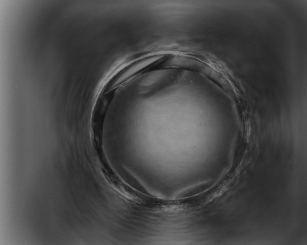X0000052590344200507152350