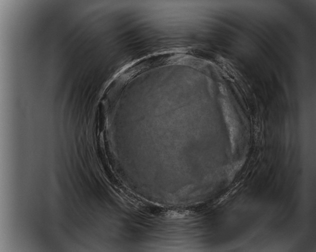 X0000052590346200507152350