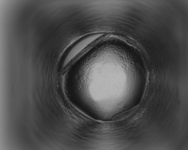 X0000052590351200507152350