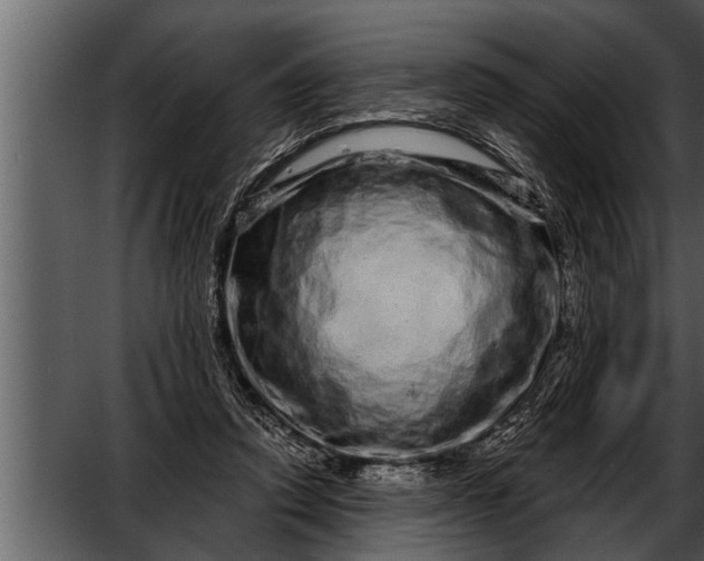 X0000052590354200507152351