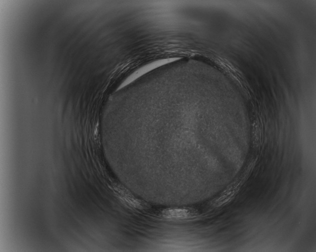 X0000052590361200507152351