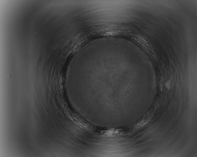 X0000052590366200507152351