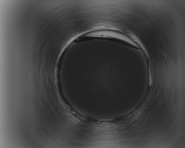 X0000052590387200507152350