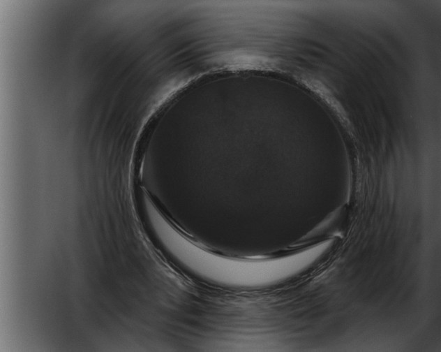 X0000052590391200507152350