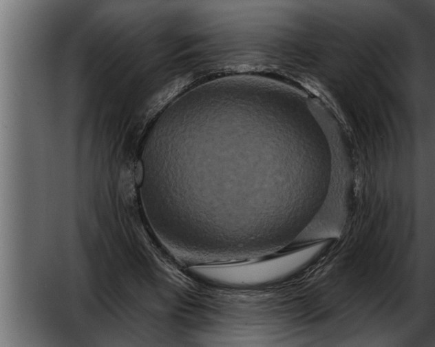 X0000052590393200507152350
