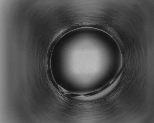 X0000052590395200507152350