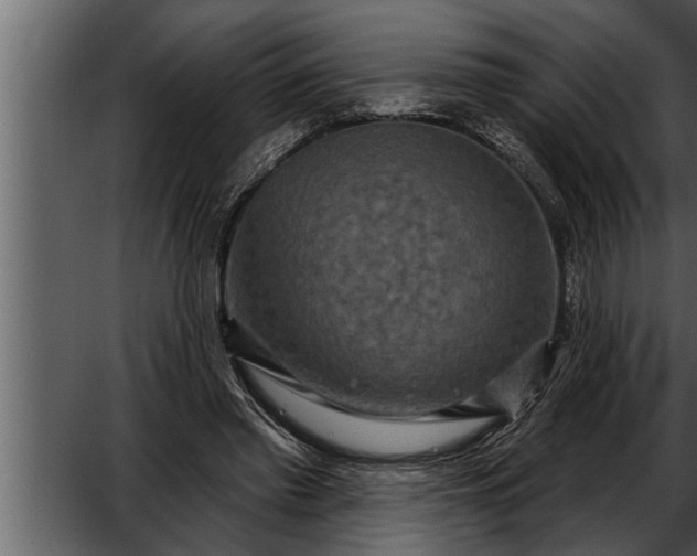 X0000052590397200507152350