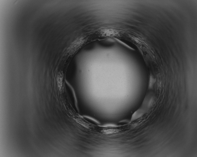 X0000052590417200507152350