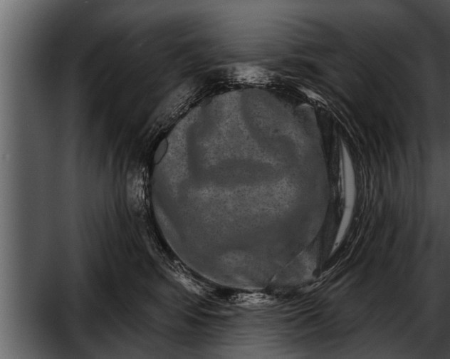 X0000052590424200507152350