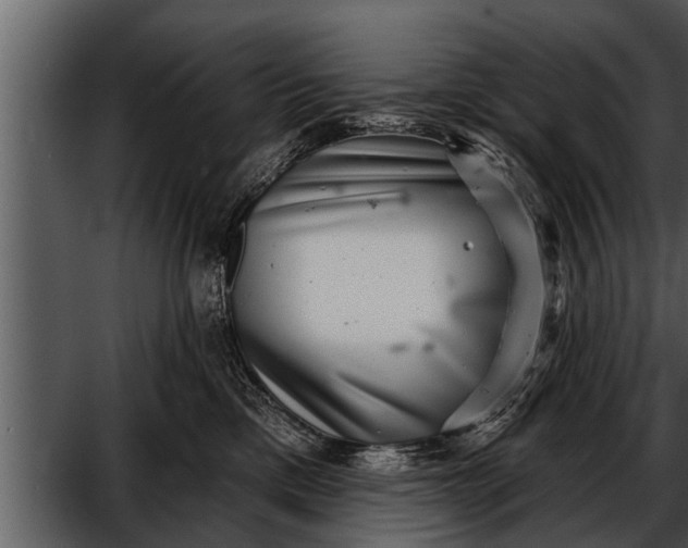 X0000052590425200507152350