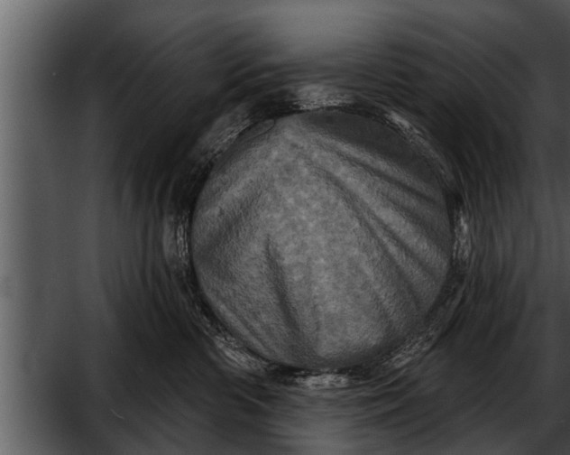 X0000052590426200507152350