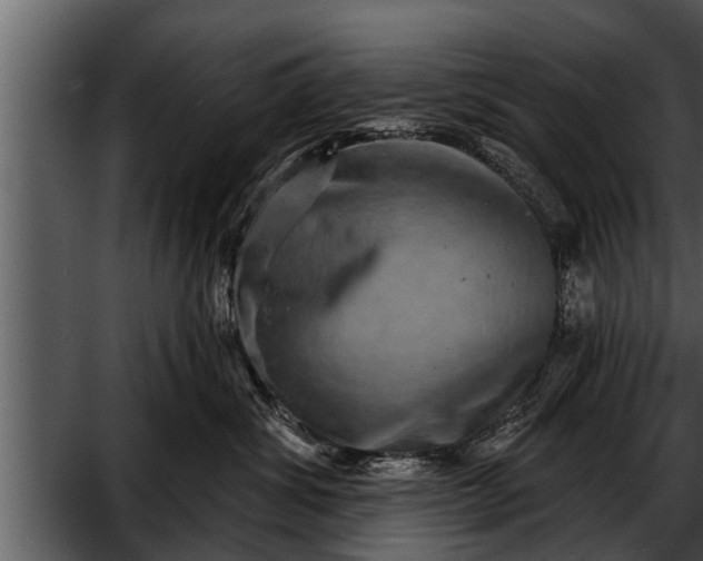 X0000052590428200507152349