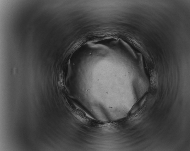 X0000052590430200507152349