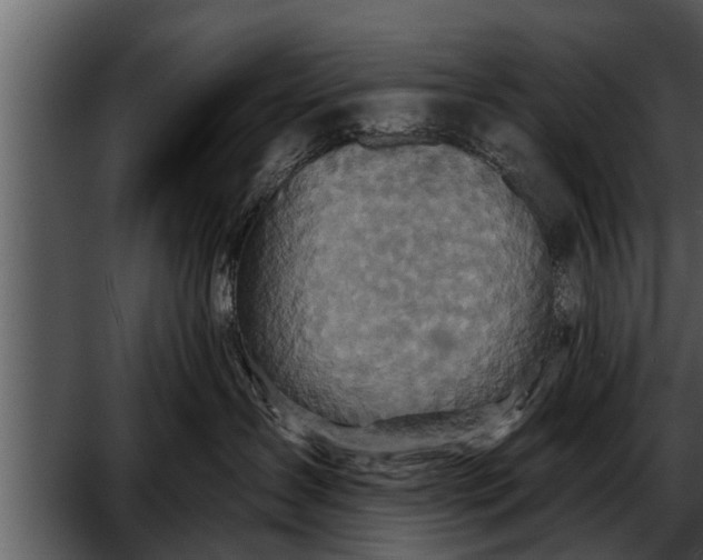 X0000052590431200507152349