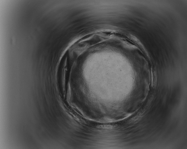 X0000052590435200507152349