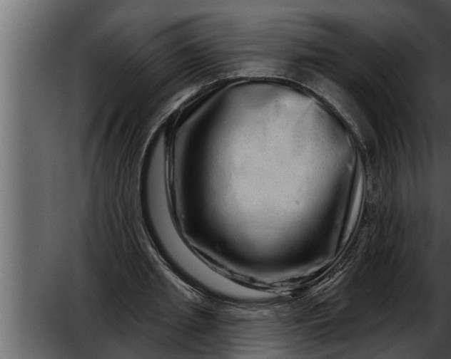X0000052590437200507152349