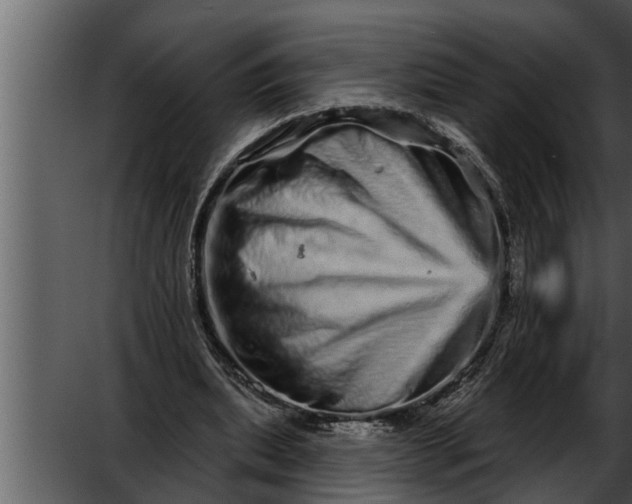 X0000052590439200507152349
