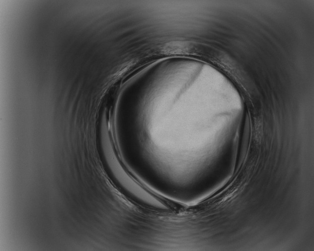 X0000052590441200507152349