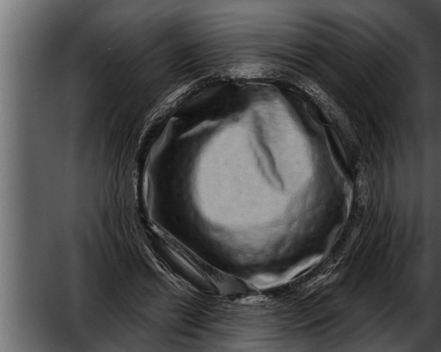 X0000052590446200507152349
