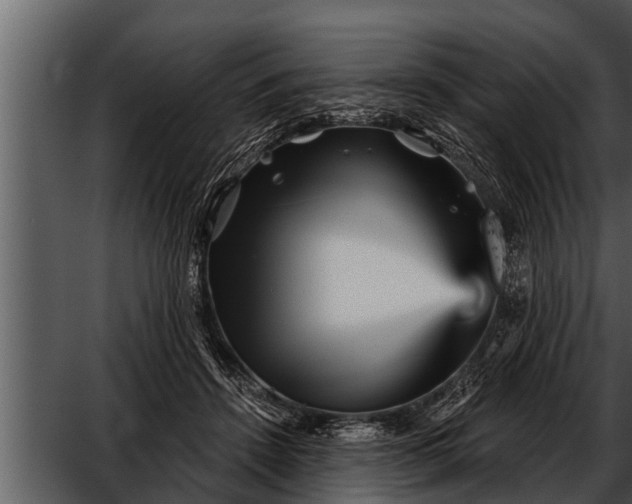 X0000052590456200507152349