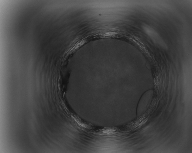 X0000052590462200507152349