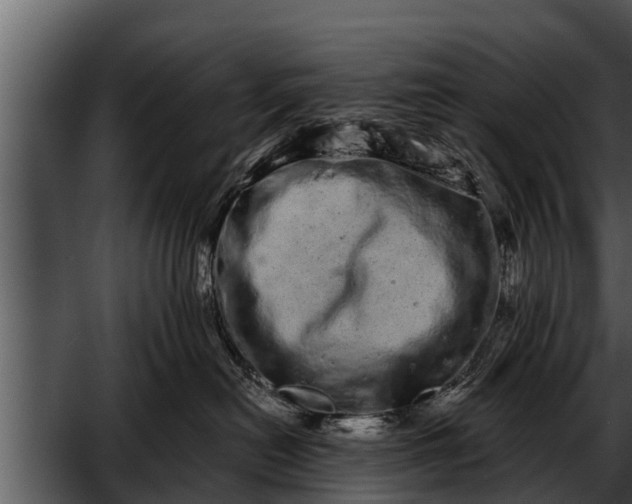 X0000052590478200507152349